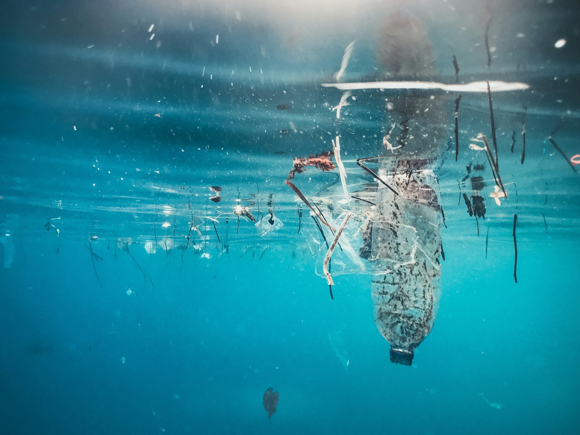 Plastikabkommen gescheitert_Foto Naja Bertolt Jensen Unsplash