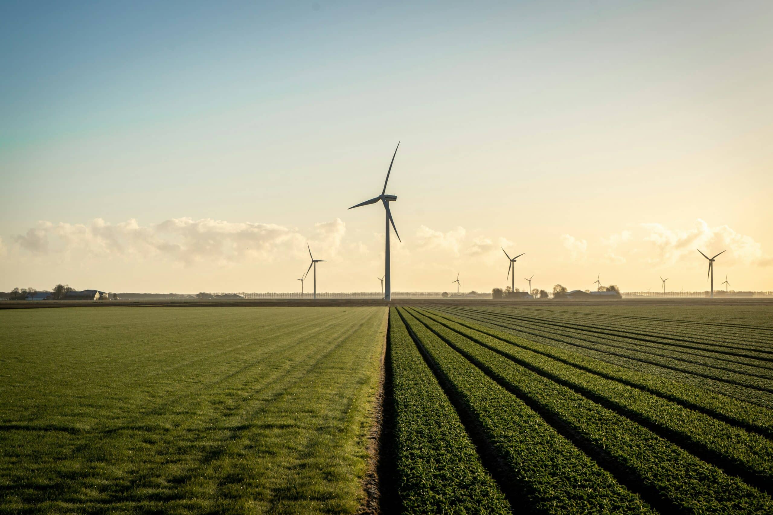 TIE_Wind Energy_Photo Peter Beukema via Unsplash